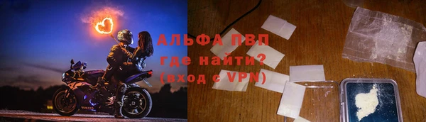 прущие грибы Балахна