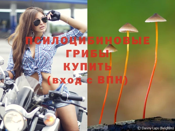 СК Баксан