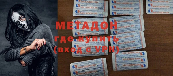 индика Тавда