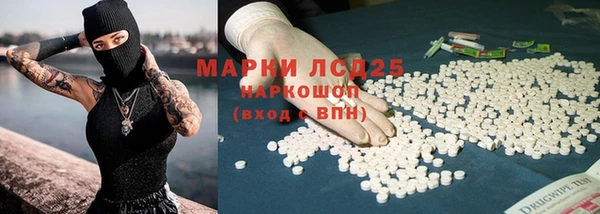 прущие грибы Балахна