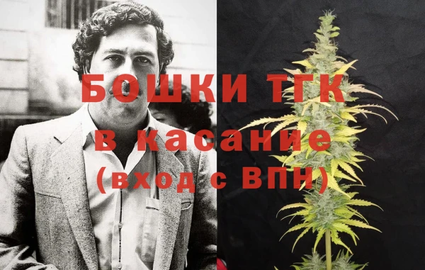 прущие грибы Балахна
